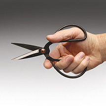 Alternate Image 1 for Famous Chinese Scissors
