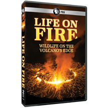 Alternate Image 0 for Life on Fire: Wildlife on the Volcano's Edge DVD