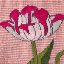 Alternate Image 1 for Dutch Tulip Women's Socks