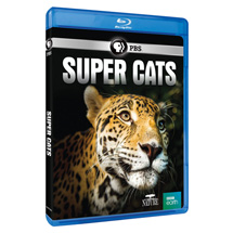 Alternate Image 0 for NATURE: Super Cats DVD & Blu-ray