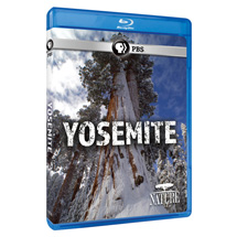 Alternate Image 0 for NATURE: Yosemite - AV Item