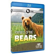 Alternate Image 0 for NATURE: Fortress of the Bears DVD
