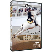 Alternate Image 0 for NATURE: Legendary White Stallions - AV Item