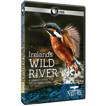 Alternate Image 0 for NATURE: Ireland's Wild River DVD