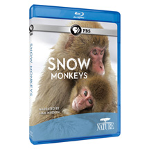 Alternate Image 0 for NATURE: Snow Monkeys DVD