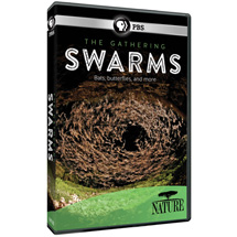 Alternate Image 0 for NATURE: The Gathering of Swarms - AV Item