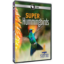 Alternate Image 0 for NATURE: Super Hummingbirds DVD & Blu-ray