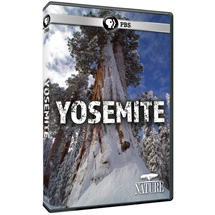 Alternate Image 0 for NATURE: Yosemite - AV Item