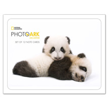Product Image for Photo Ark Notecards
