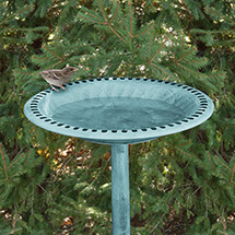 Alternate Image 5 for Pedestal Bird Bath