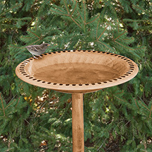 Alternate Image 12 for Pedestal Bird Bath