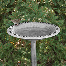 Alternate Image 19 for Pedestal Bird Bath