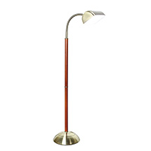 Natural Daylight LED Floor Lamp - Brass/Cherry