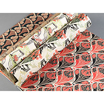Alternate Image 5 for Creative Wrapping Paper Set - Art Nouveau