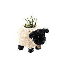 Alternate Image 1 for Woven Sheep Planters