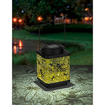Product Image for Queen Bee Solar Lanterns