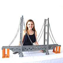 Alternate Image 8 for Ultimate Bridge Building Kit