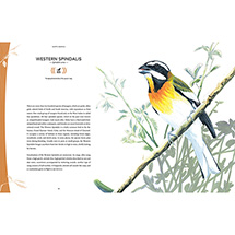 Alternate Image 1 for 200 Bird Songs from Around the World (Hardcover)