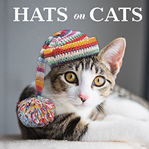 Product Image for Hats on Cats (Hardcover)