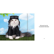 Alternate Image 1 for Hats on Cats (Hardcover)