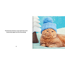 Alternate Image 4 for Hats on Cats (Hardcover)