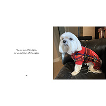 Alternate Image 2 for Puppies in Pajamas (Hardcover)
