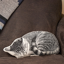 Alternate Image 1 for Sleeping Cat Pillow