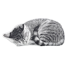 Product Image for Sleeping Cat Pillow