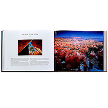 Alternate Image 1 for Personalized Leatherbound Treasured Lands (Hardcover)