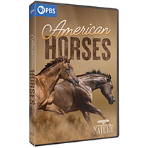 NATURE: American Horses DVD