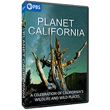 Earth at Shop.PBS.org