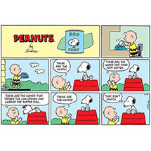 Alternate Image 1 for Peanuts Every Sunday Collections 1996-2000 (Hardcover)