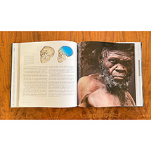 Alternate Image 4 for Discovering Us: Fifty Great Discoveries in Human Origins (Hardcover)
