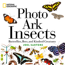 Product Image for Photo Ark Insects (Hardcover)