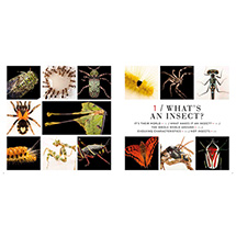 Alternate Image 1 for Photo Ark Insects (Hardcover)
