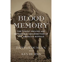 Blood Memory: The Tragic Decline and Improbable Resurrection of the American Buffalo  (Hardcover)