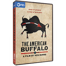 Product Image for The American Buffalo: A Film by Ken Burns DVD or Blu-ray