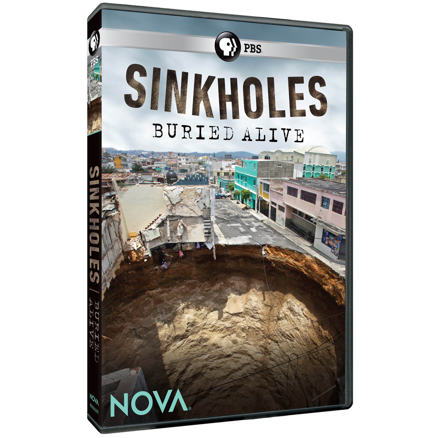 Holes DVD & Literature Set