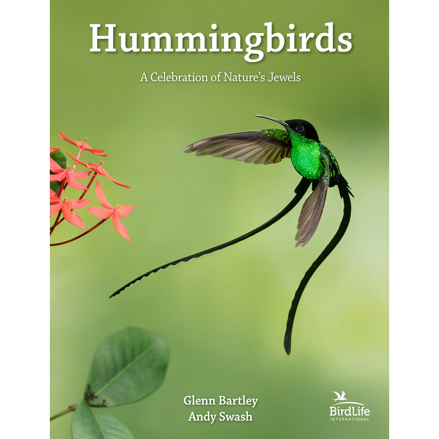 Hummingbirds: A Celebration of Nature's Jewels (Hardcover) | Shop 