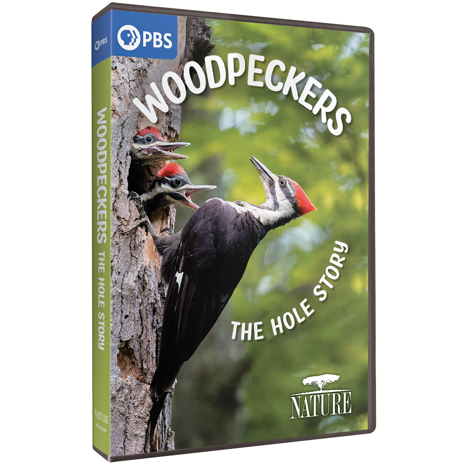 Woodpecker Door Knocker, Adams & Mack